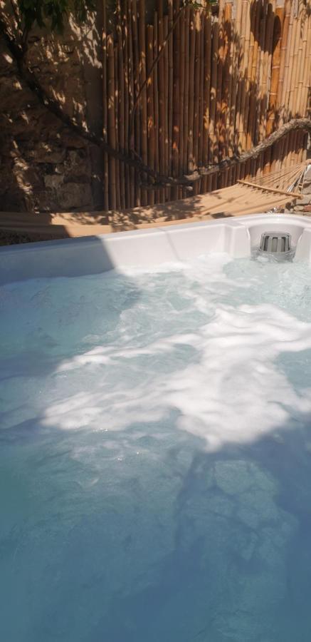 Maison De Maitre A Bram # Jacuzzi Екстер'єр фото